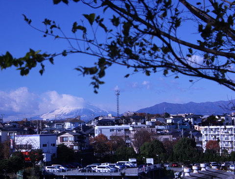 a0248459_222922100.jpg