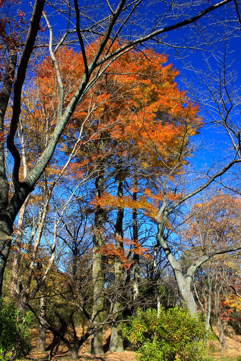 a0248459_2231621.jpg