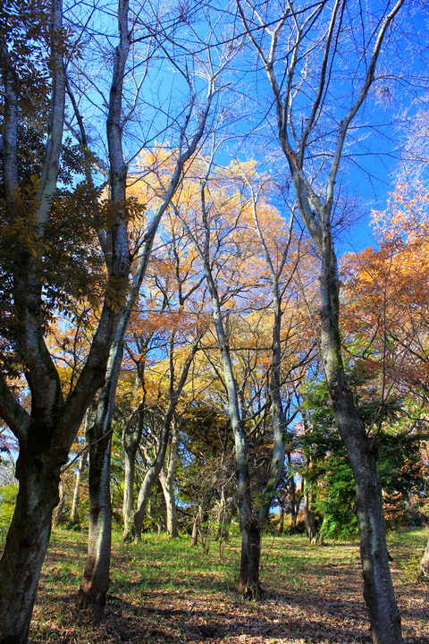a0248459_22321612.jpg