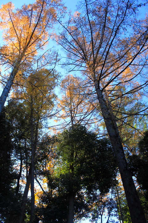 a0248459_22323946.jpg