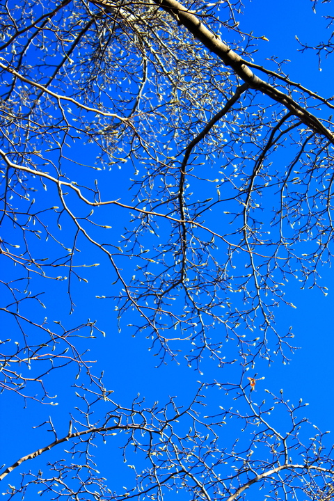 a0248459_22332884.jpg