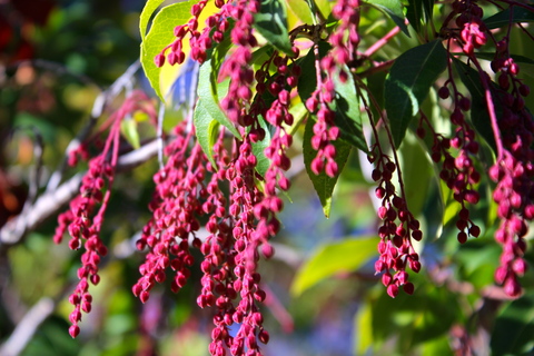 a0248459_2234145.jpg