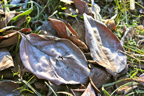a0248459_415435.jpg