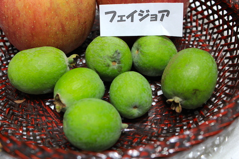 a0248459_4175811.jpg