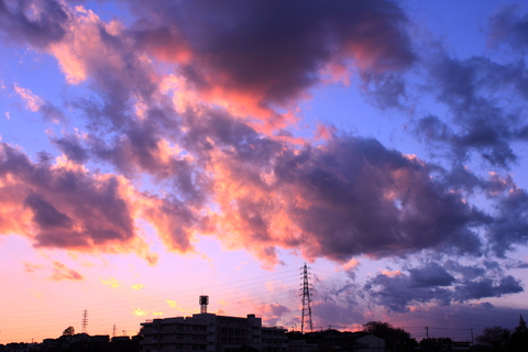 a0248459_4195358.jpg