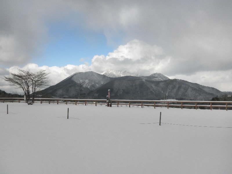 雪道ドライブやら落語やら忘年会。_c0016259_6325266.jpg