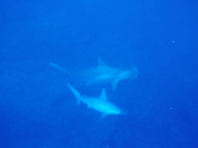 d0113459_21282690.jpg