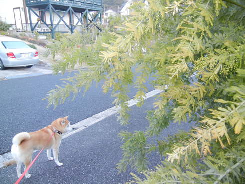 ’12,12,10(月)楽しい水彩画教室!_f0060461_20325287.jpg