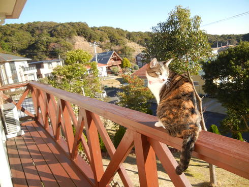 ’12,12,10(月)楽しい水彩画教室!_f0060461_2038586.jpg