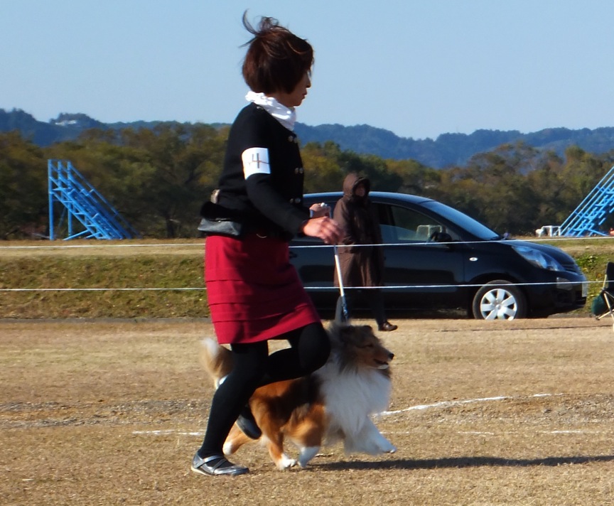 12.9 JCC本部展_a0139367_20335978.jpg