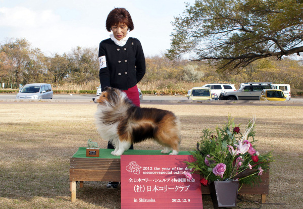12.9 JCC本部展_a0139367_20345049.jpg