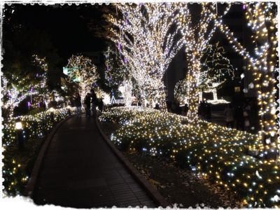 イルミネーションがきれい!_e0258469_14421619.jpg