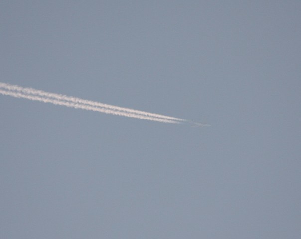 a0299975_1937194.jpg