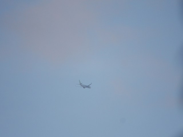 a0299975_1943230.jpg