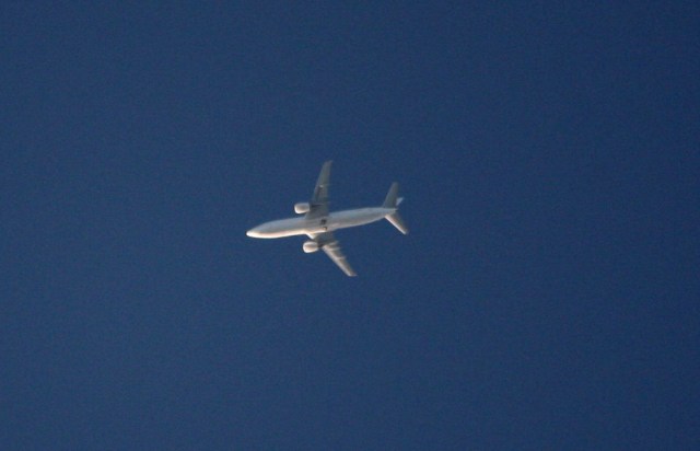 a0299975_19453995.jpg