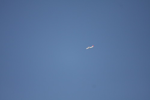 a0299975_1962580.jpg