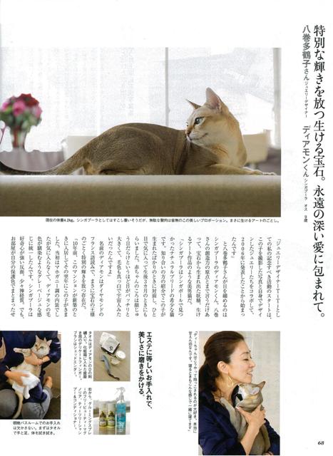 愛猫ディアモン君、「クロワッサン」に登場!_a0138976_20252533.jpg