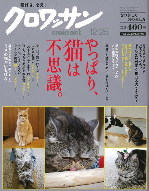 愛猫ディアモン君、「クロワッサン」に登場!_a0138976_2026052.jpg