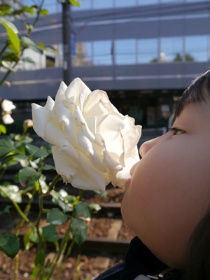 c0004078_22132415.jpg