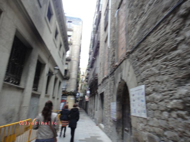 f0062680_0243338.jpg