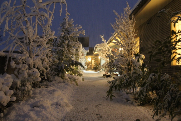 c0233784_85549.jpg