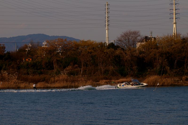 市川河口堰下流での鳥見_b0108186_23152639.jpg