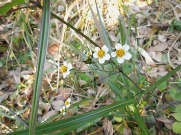 c0267692_23134367.jpg