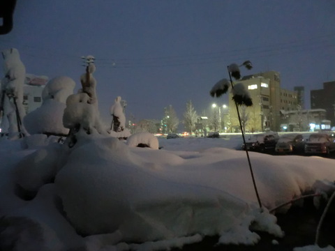 もち豚バラ　チゲ鍋！で除雪の疲れを癒して下さい！_f0117892_16583965.jpg