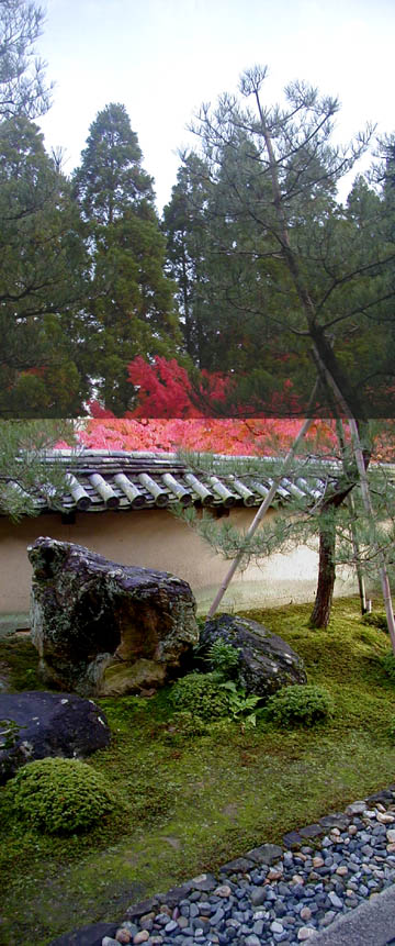 ●今年の紅葉、酬恩庵一休寺、その3_d0053294_19687.jpg