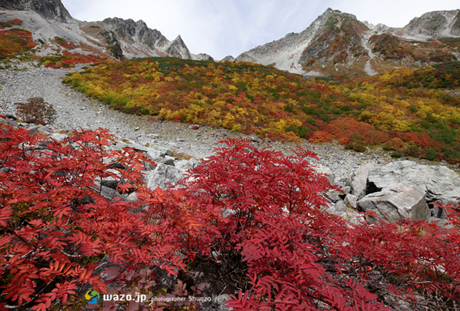 氷河が削りとった山肌は今・・・_c0233596_1424275.jpg