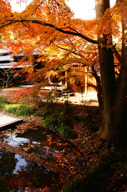 b0145398_0332079.jpg