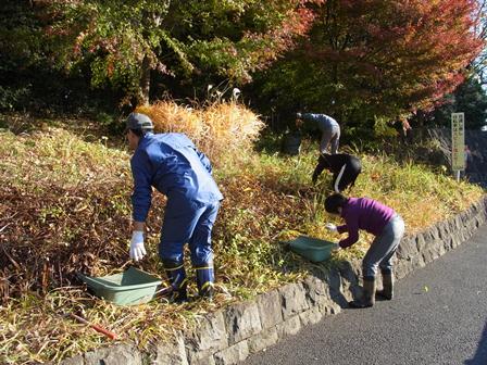 すみればの管理作業_b0049307_13433231.jpg