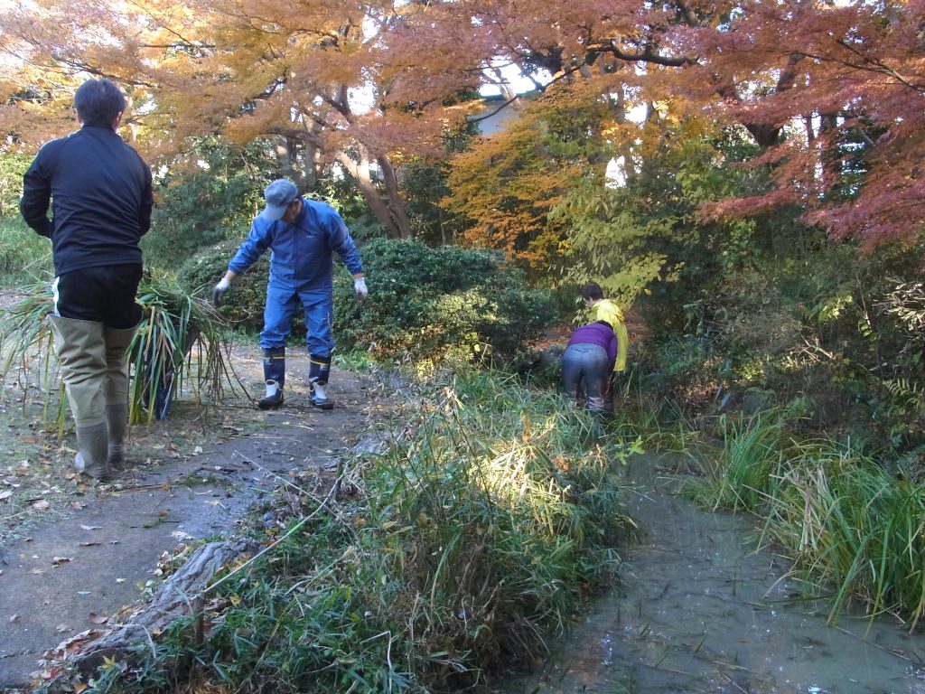 すみればの管理作業_b0049307_1538342.jpg