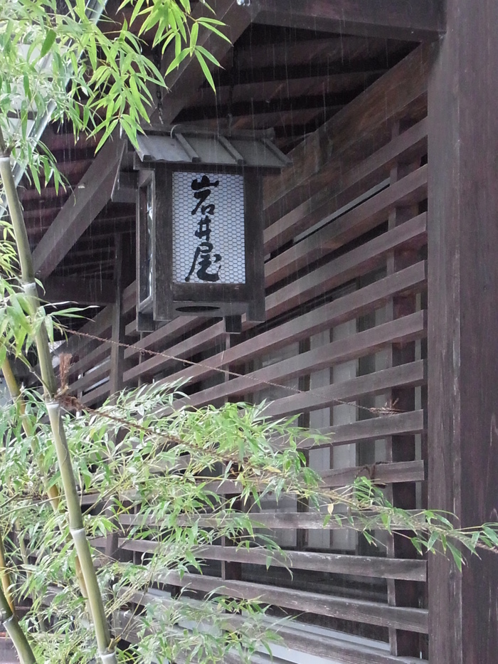 山陰の秘湯、岩井温泉_d0116009_1231744.jpg