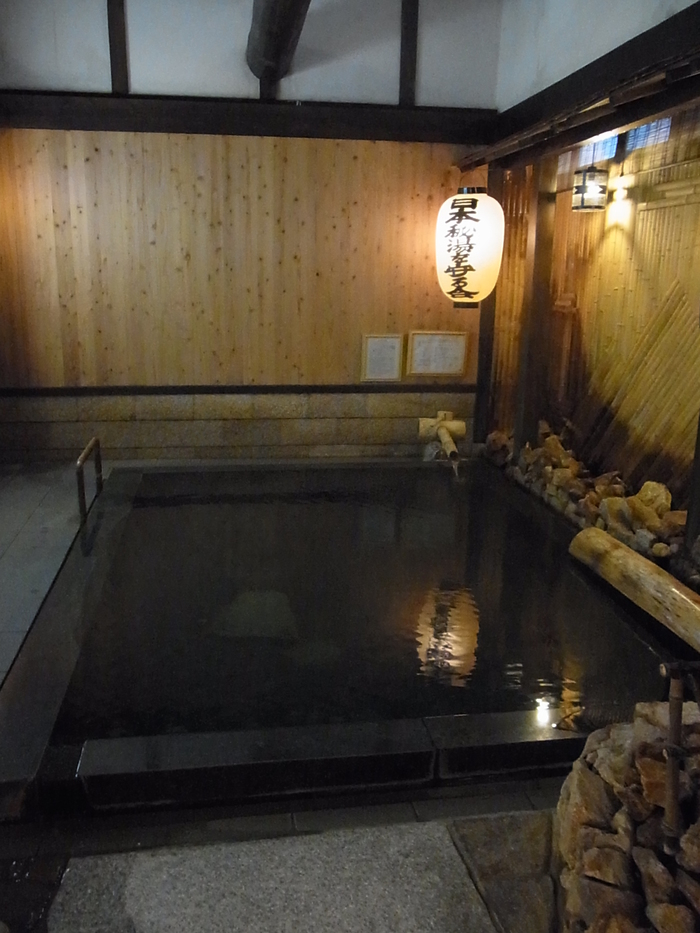 山陰の秘湯、岩井温泉_d0116009_12321699.jpg
