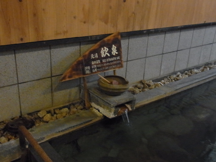 山陰の秘湯、岩井温泉_d0116009_12323749.jpg