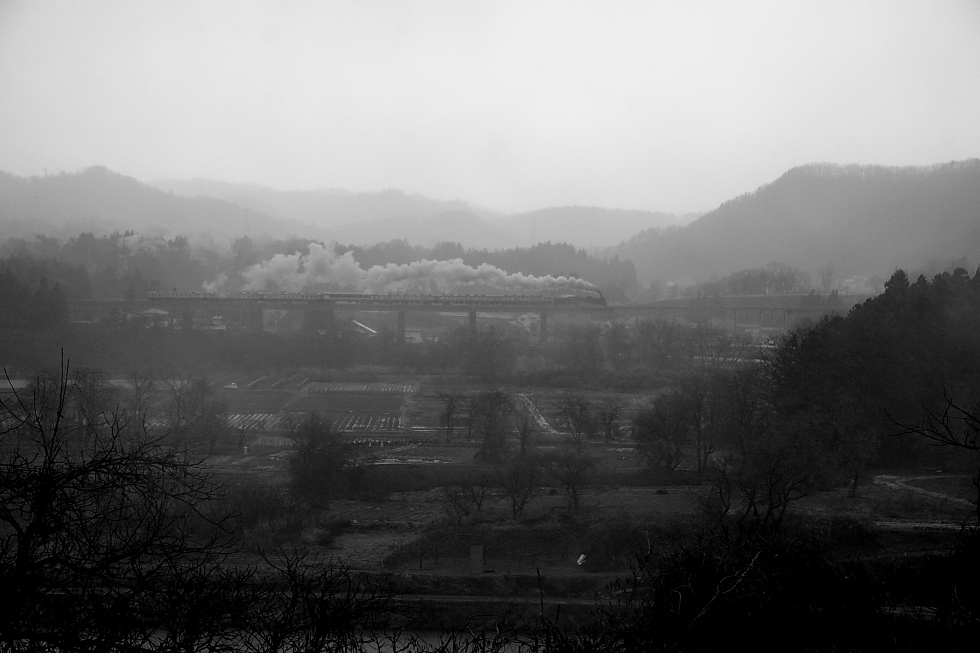 冬の雨 - 2010年・磐西 - _b0190710_23241621.jpg