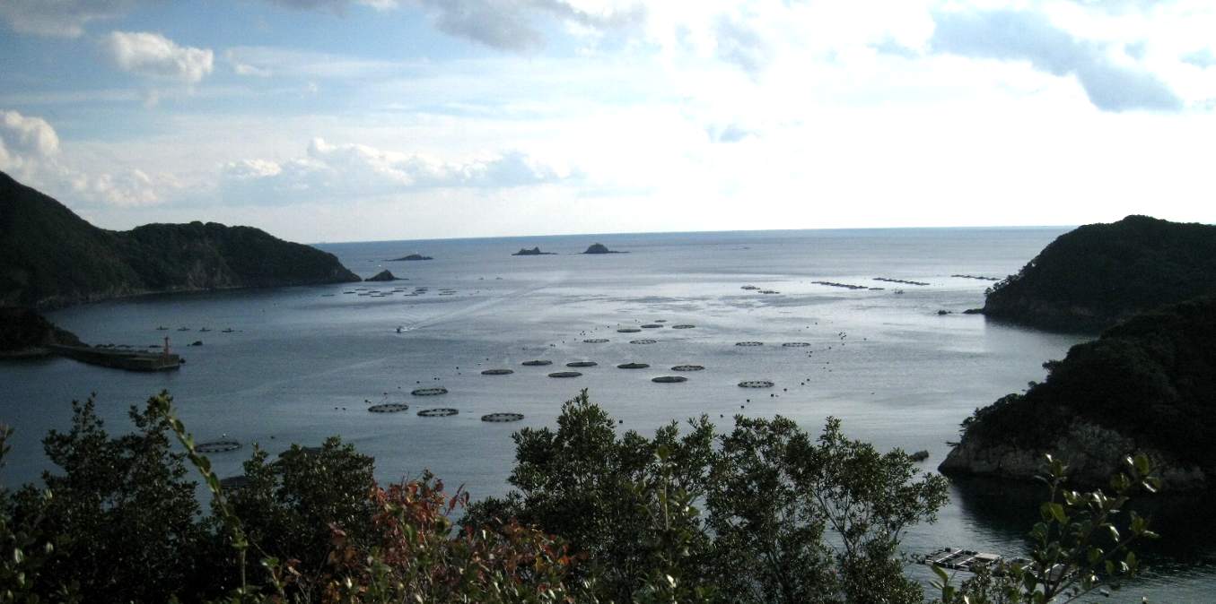 e0003910_12205833.jpg