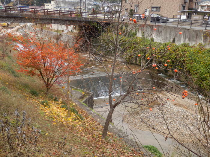 f0219710_75386.jpg