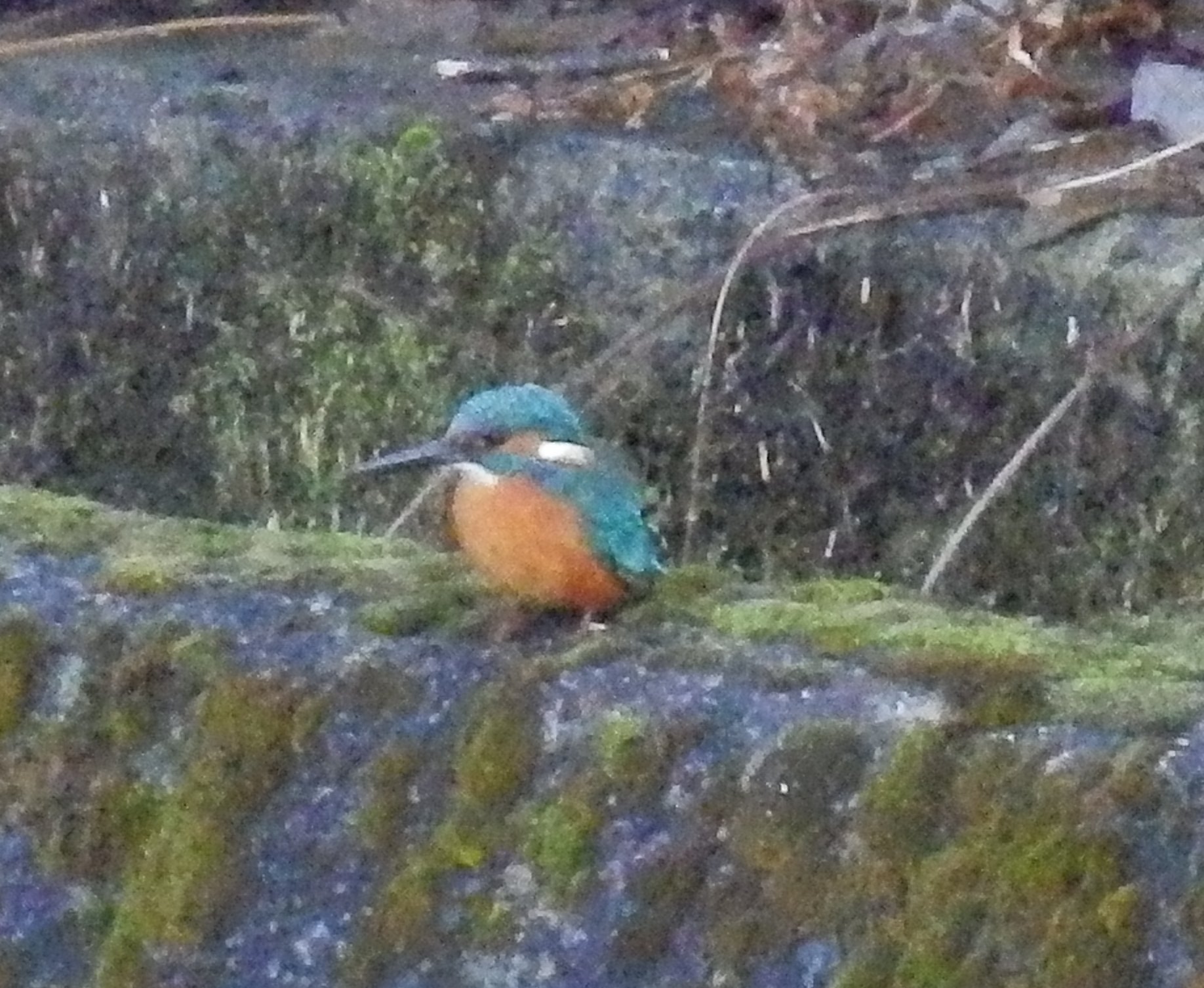 f0219710_78836.jpg