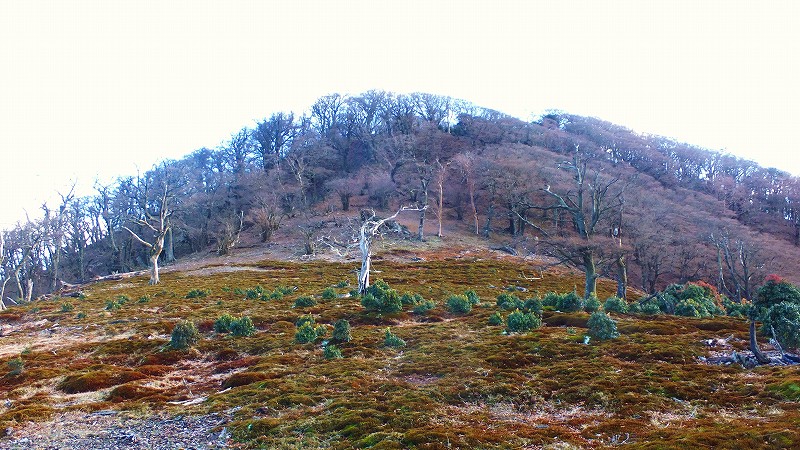f0182513_2312652.jpg