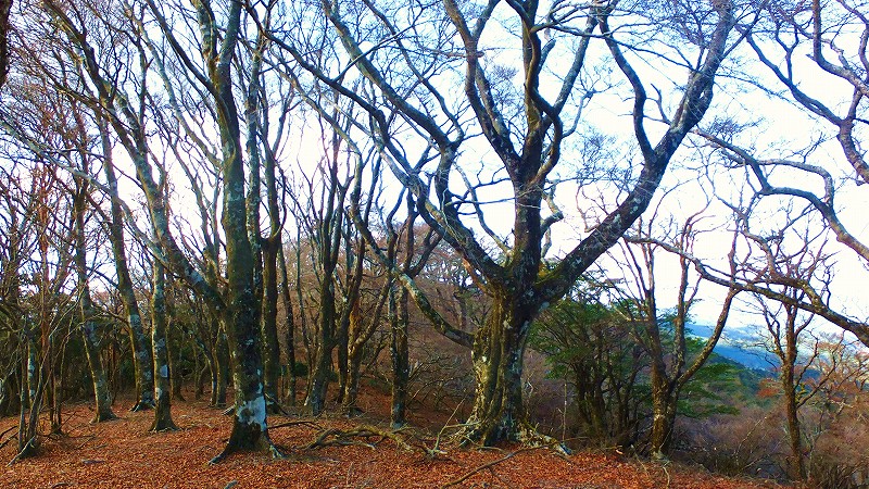 f0182513_2321223.jpg