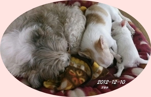 c0200916_2334561.jpg