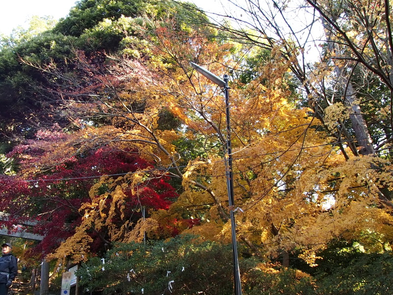 c0085622_21385511.jpg