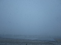 f0147922_7541651.jpg