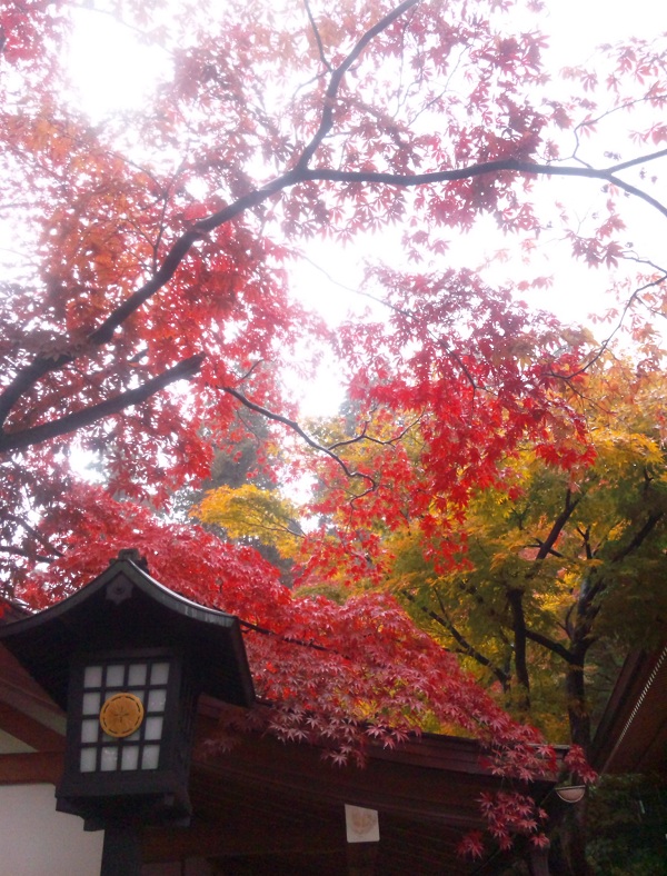 b0199924_13482672.jpg