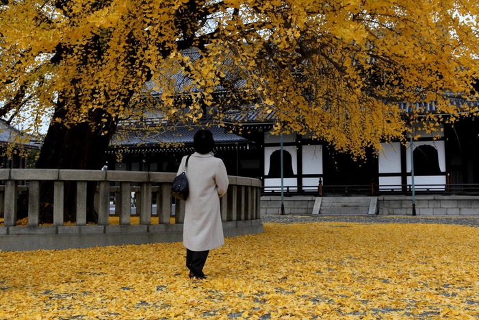 初冬の京都を訪ねる旅写真_d0106628_8131100.jpg