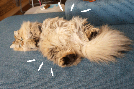 e0157129_1884162.gif