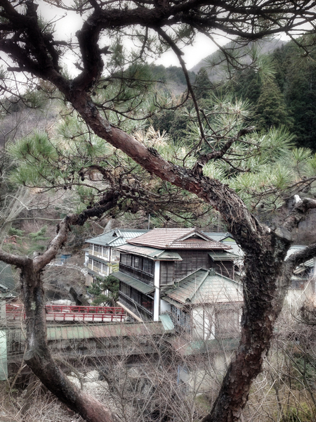 f0174939_12144360.jpg