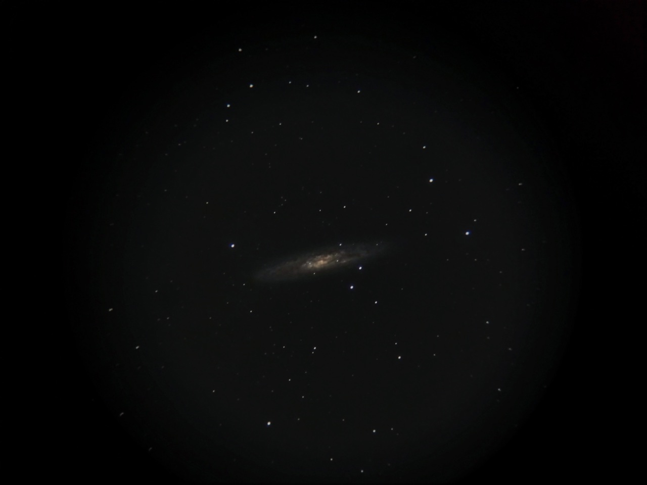 秋の銀河星雲（その２- NGC253）_b0167343_2174572.jpg